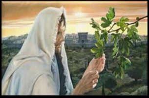 The Parable of the Barren Fig Tree