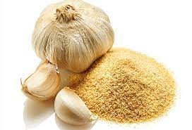 Garlic Seasonings, Spices and Herbs