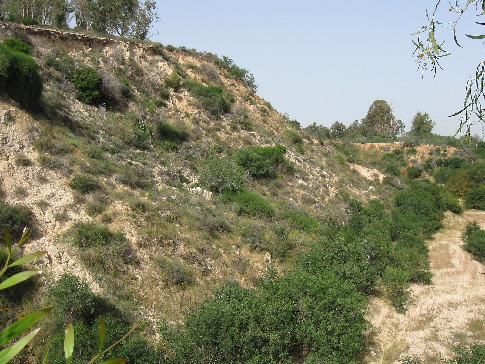 Mount Baalah